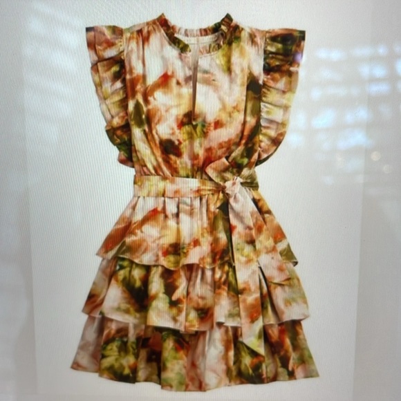 Marie Oliver Emery tiered ruffle mini dress sz xl - Picture 6 of 6